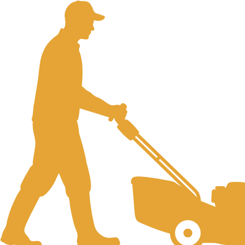 25,000 Sq.Ft Lawn
