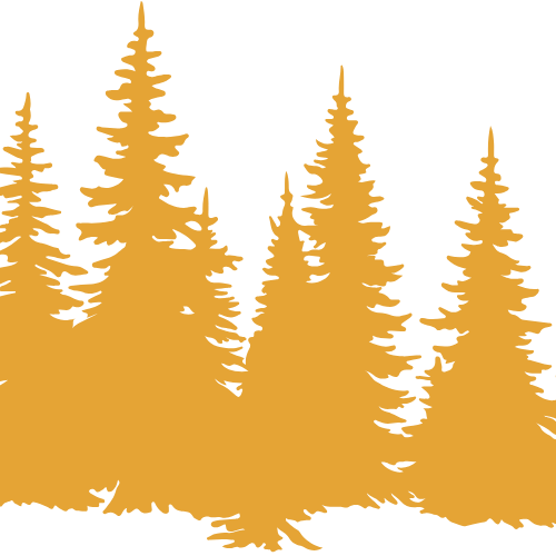 650+ Trees